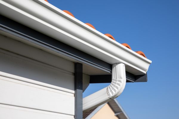 Roofline Cleaning in Georgetown