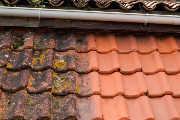 Industrial Roof Cleaning in Georgetown